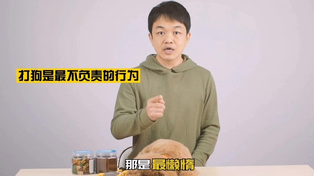 恕我直言打狗的都不配养狗！